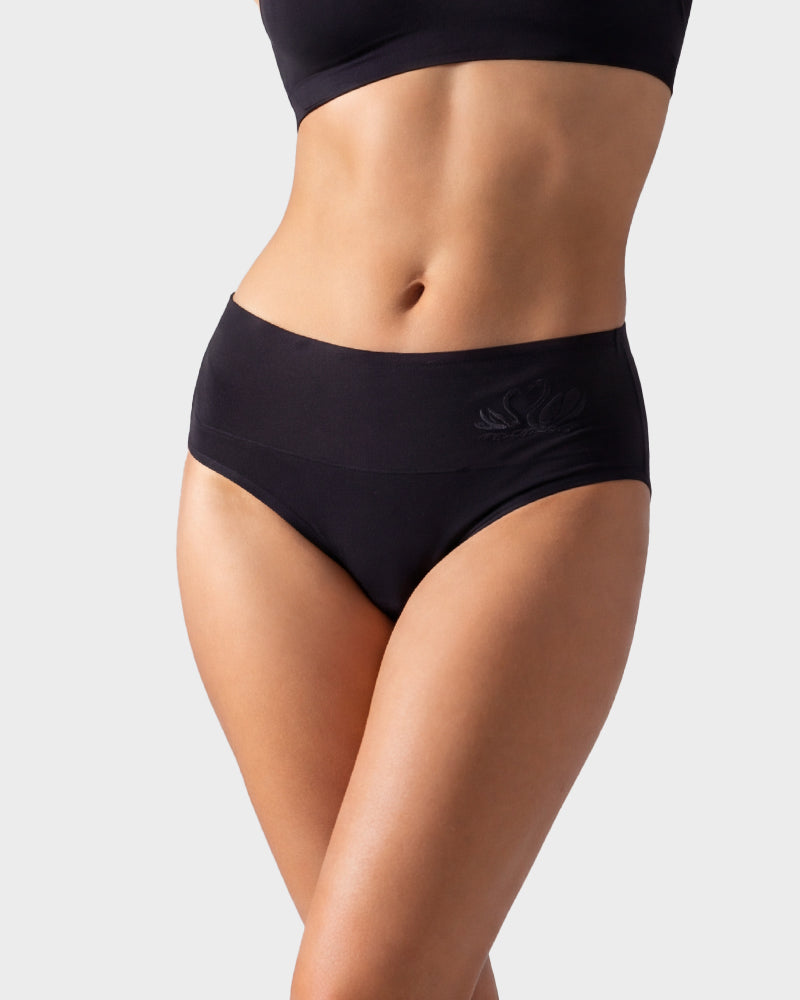 4 Pack Swan Embroidery High Waist Seamless Briefs