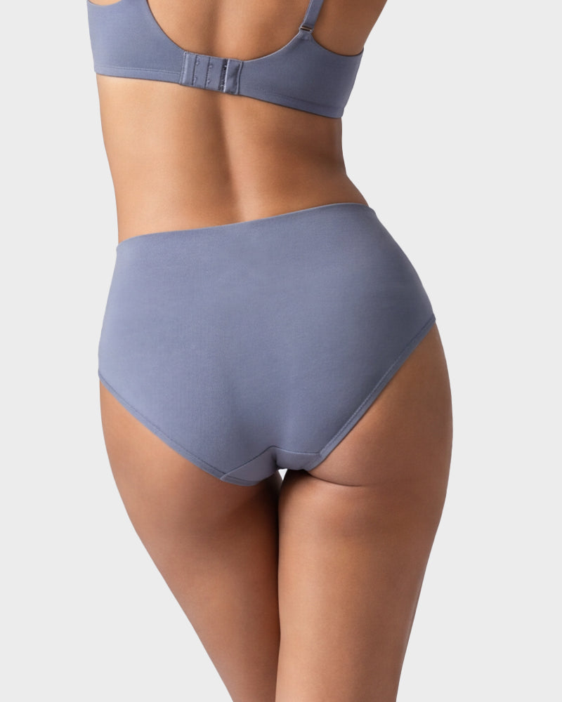 4 Pack Swan Embroidery High Waist Seamless Briefs
