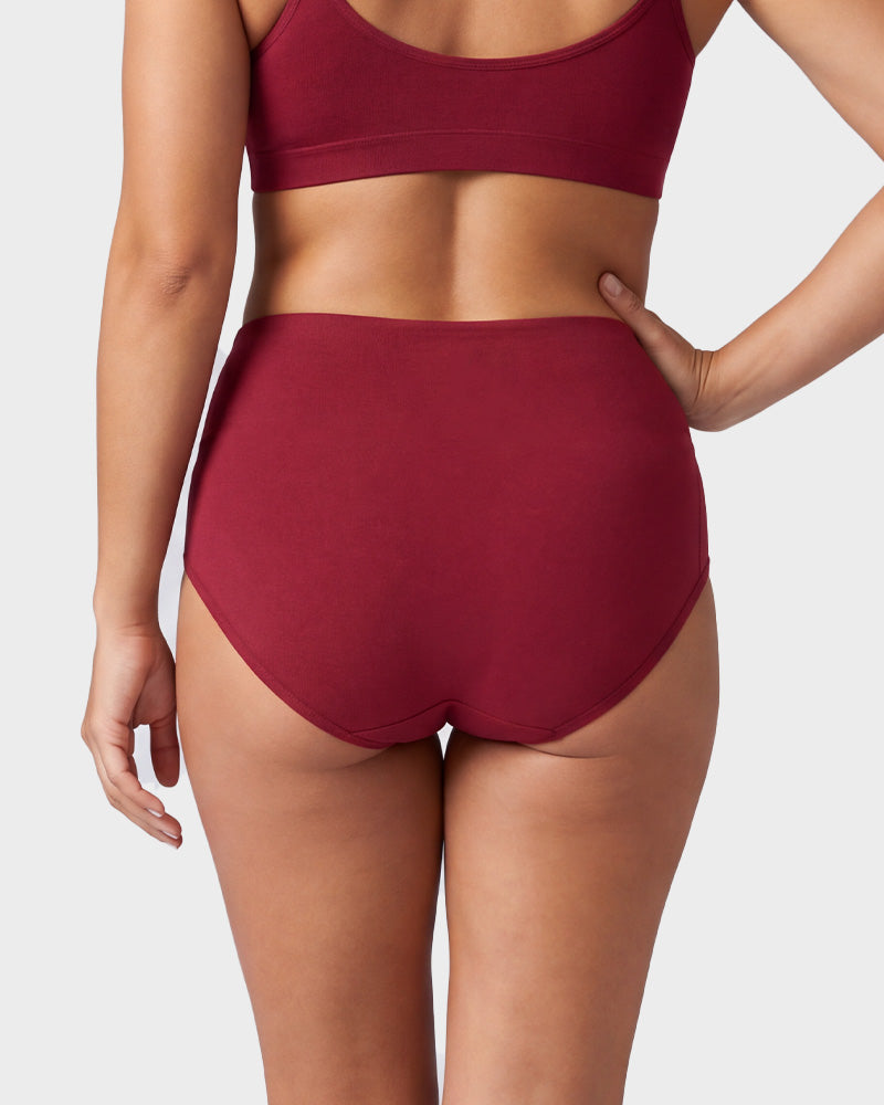 4 Pack Swan Embroidery High Waist Seamless Briefs