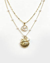 Shell